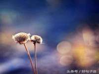 镇江恒桉建材商贸有限公司