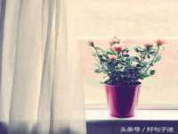 镇江恒桉建材商贸有限公司