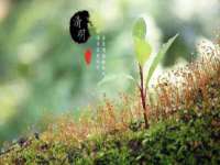 镇江恒桉建材商贸有限公司