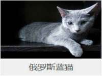 镇江恒桉建材商贸有限公司