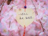 镇江恒桉建材商贸有限公司