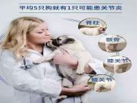 镇江恒桉建材商贸有限公司