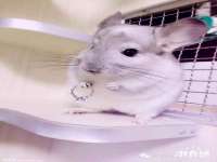 镇江恒桉建材商贸有限公司