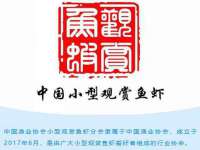 镇江恒桉建材商贸有限公司
